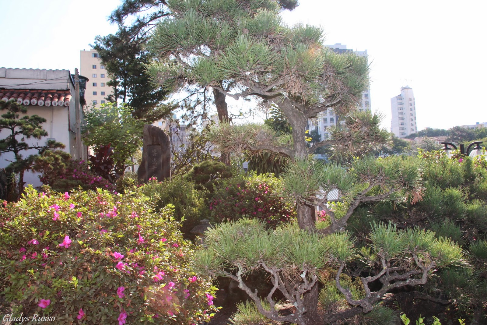 Passear e Fotografar Templo Budista Honpa