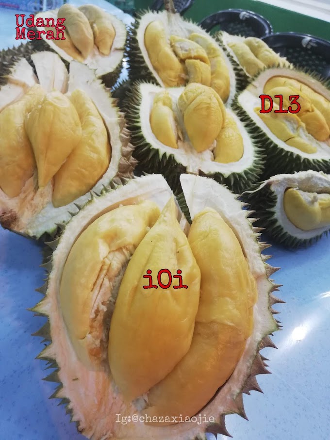 Melaka : 'Port' Durian Kahwin Gred Terbaik dan Harga Mampu Milik !