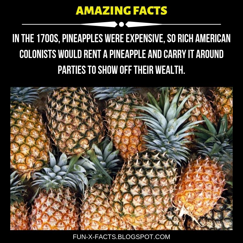 20 Crazy WTF Random Facts That Will Blow Your Mind Amazing WTF Facts