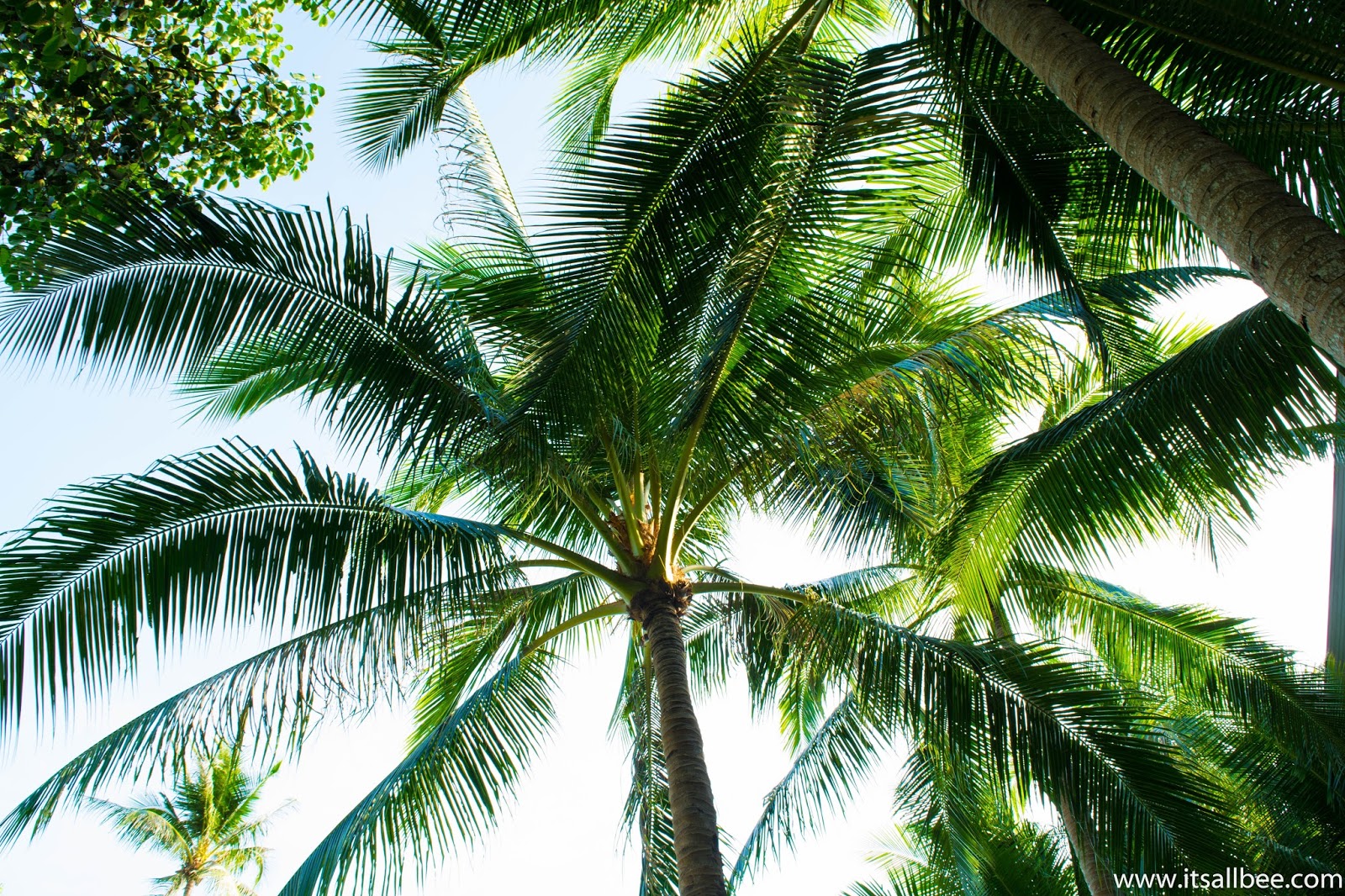 Miles of stunning beaches on the Andaman Sea, one of many reasons we wanted to sample the luxury hotels in Phuket. Perfect pool villa for couples. With a packed itinerary of things to do in Phuket, we checked into our Phuket Villa with private pool. To tour our villa + details on how to your own luxury stay check. #PHUKET #THAILAND #RESORTS #HOTELS #HONEYMOON #COUPLES #VILLAS Luxury Private Pool Villa Phuket | Phuket resorts with private pools