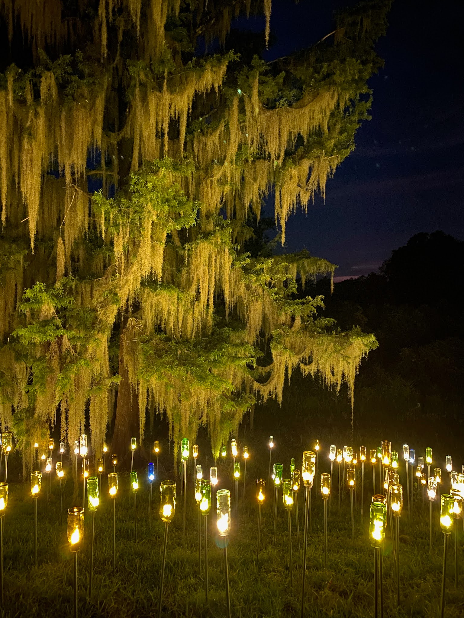 Chris Odom Photography Day 9 Pawleys Island