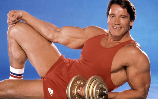 Arnold Alois Schwarzenegger Wiki, Height, Age, Girlfriends, Family ...