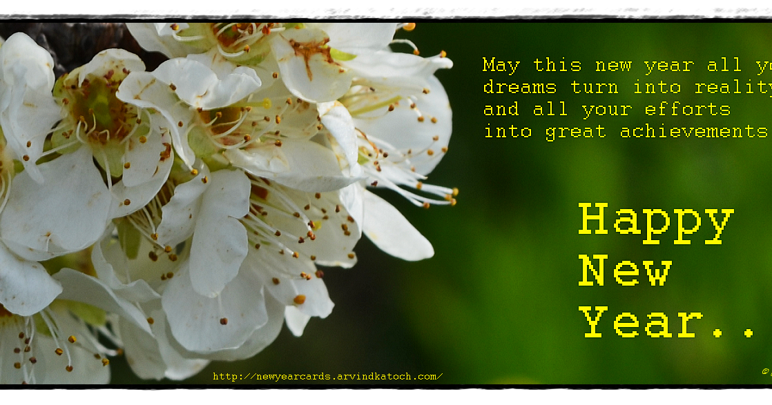 HD True Pic New Year Cards 2023 Beautiful White Flower New Year Card