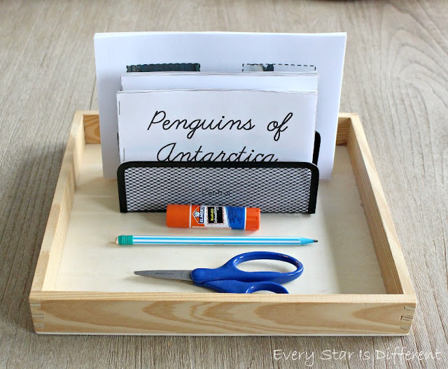 Penguins of Antarctica Book Activity