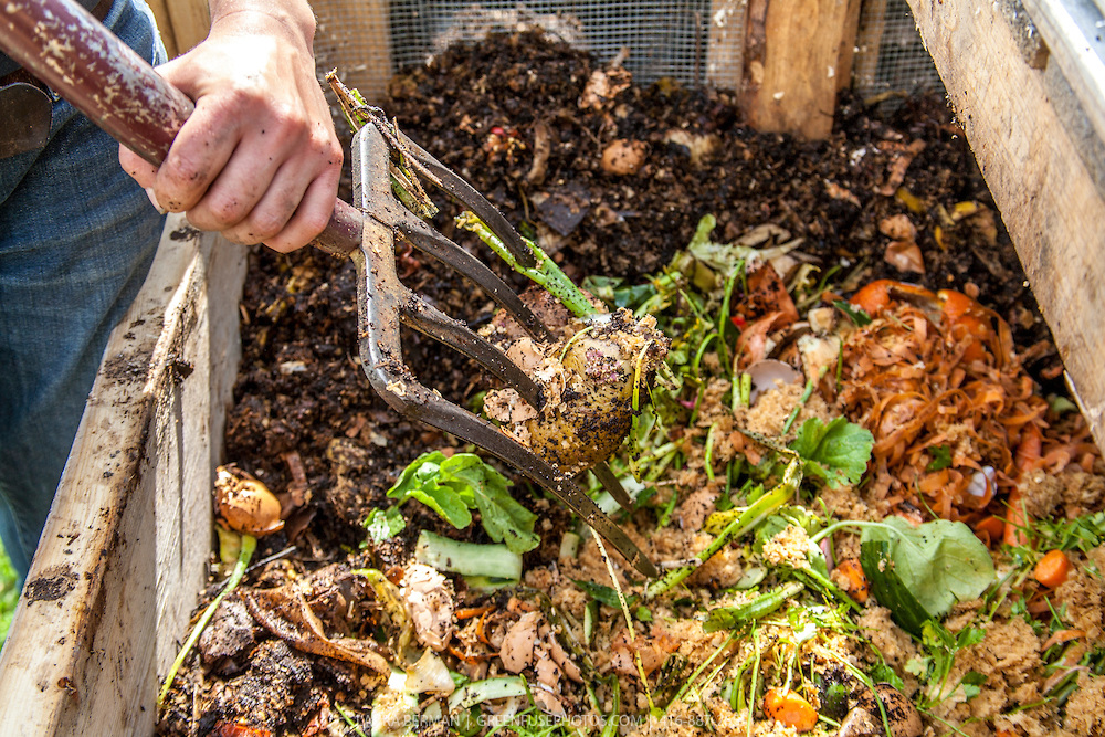 Waste management How Does The Composting Process Work?