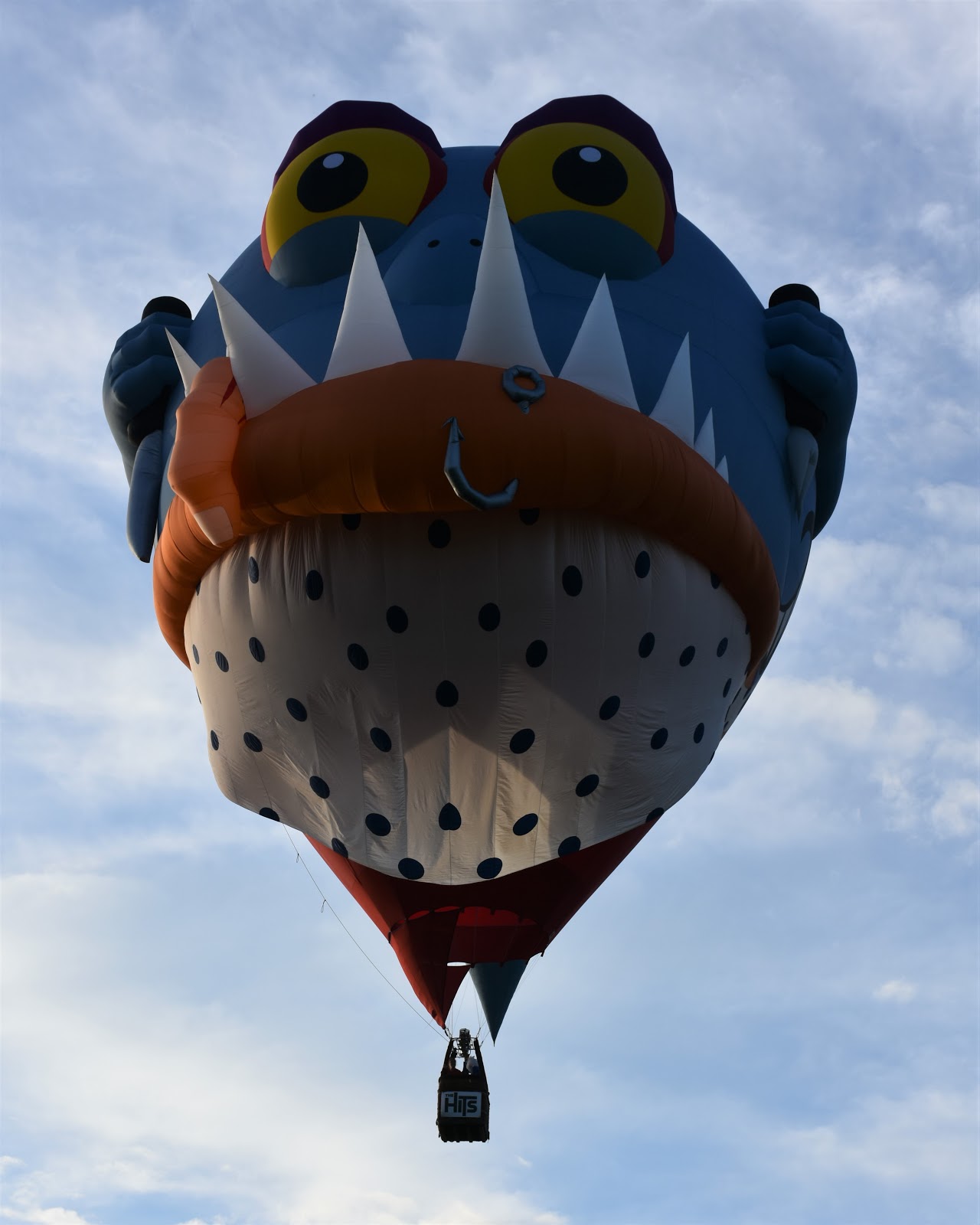 Tauranga Spotter BALLOONS OVER WAIKATO