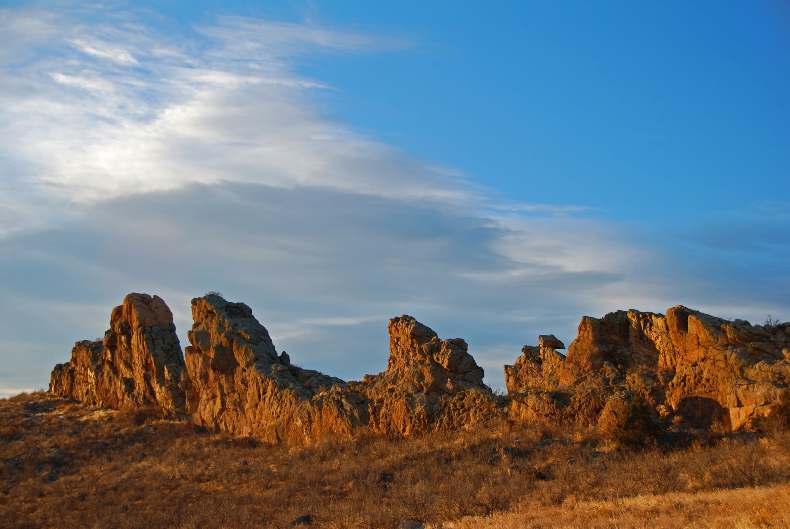 Critter Sitter's Blog: The Devil's Backbone Photos