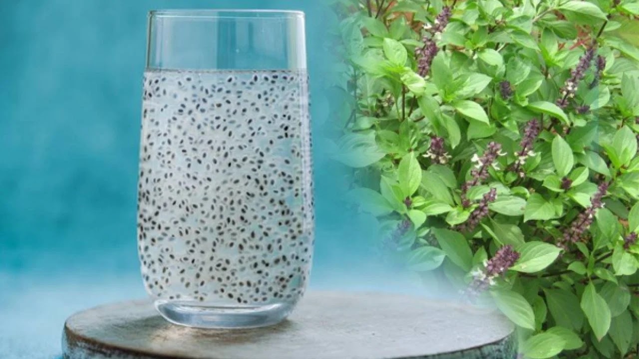 BASIL SEEDS (Sabja Seeds) Health Benefits , Nutrition Facts & How to