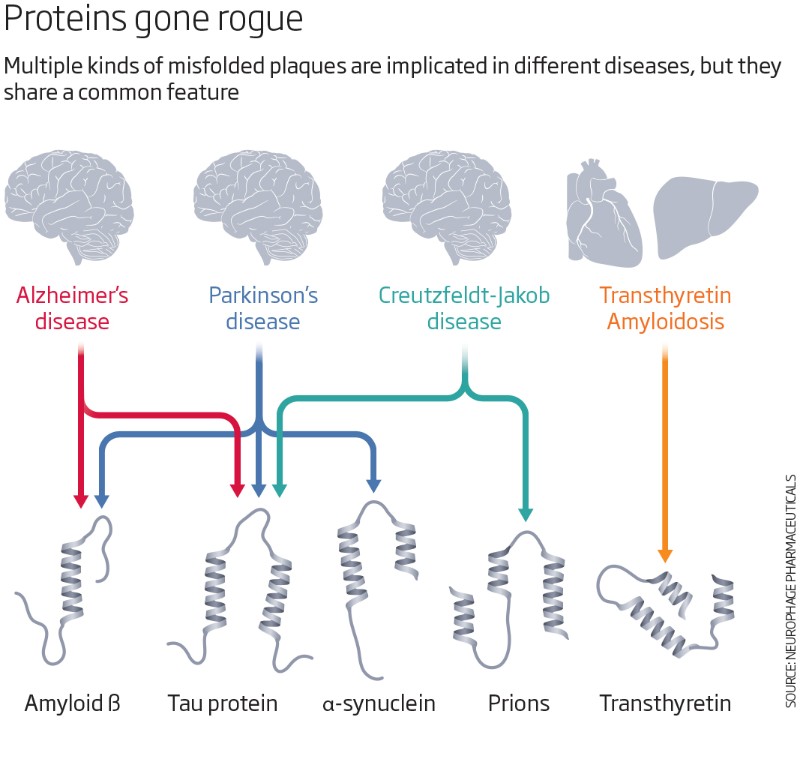 Universal plaquebusting drug could treat various brain diseases