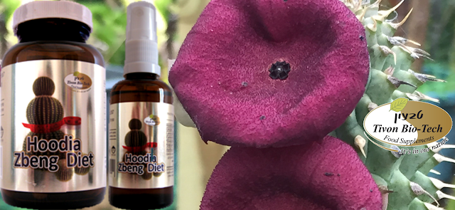 דיאטה תרסיס אתר ויטמין טבעון