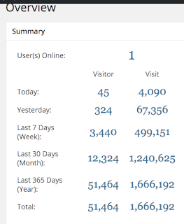 Traffic Statistics for one of my WordPress Blogs