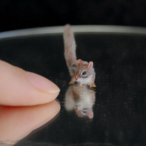 19-Chipmunk-ReveMiniatures-Miniature-Animal-Sculptures-that-fit-on-your-Hand-www-designstack-co