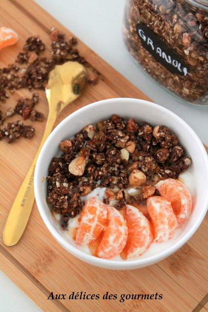 GRANOLA MAISON AU CHOCOLAT