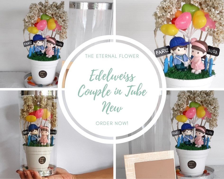 Bunga Edelweis Tabung Couple New Bunga Edelweis Gift Souvenir Shop