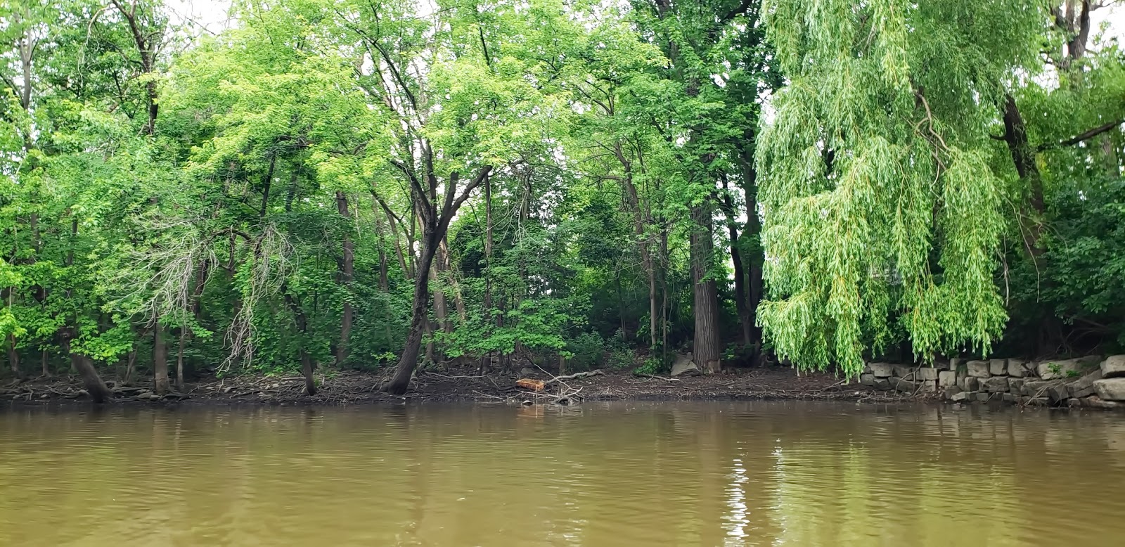 Faire du kayak dans les bayous... à Laval!