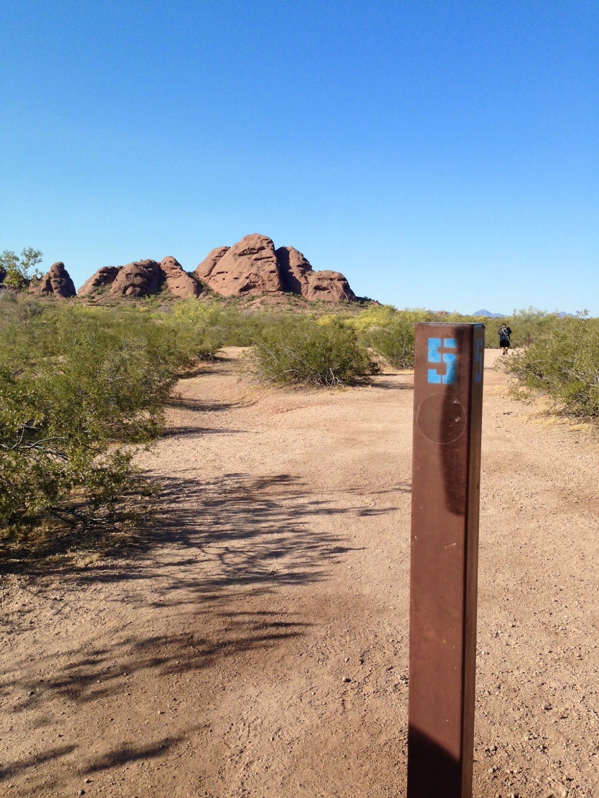 50 Hikes in my 50th Year Hike 35 Papago Park West Park Trailhead