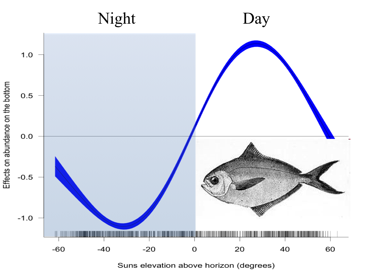 Ecology of Coastal Ocean Seascapes The “Butterfish Smackdown” IV. Our