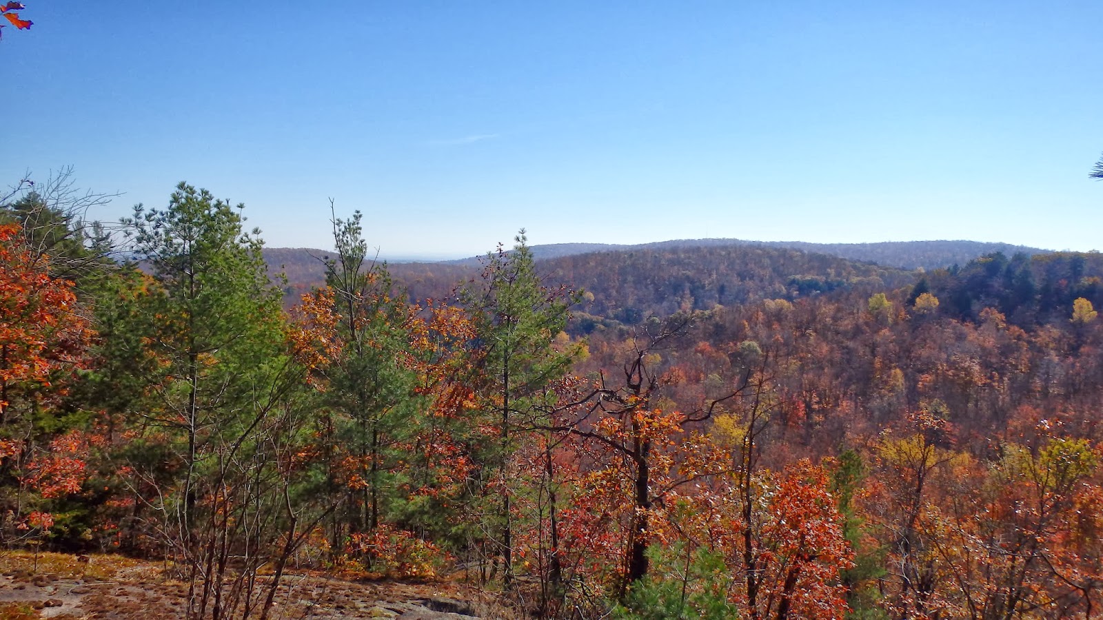Marc Charron's Blog: Wolf Trail - Sentier des loups, Gatineau Park (Québec)