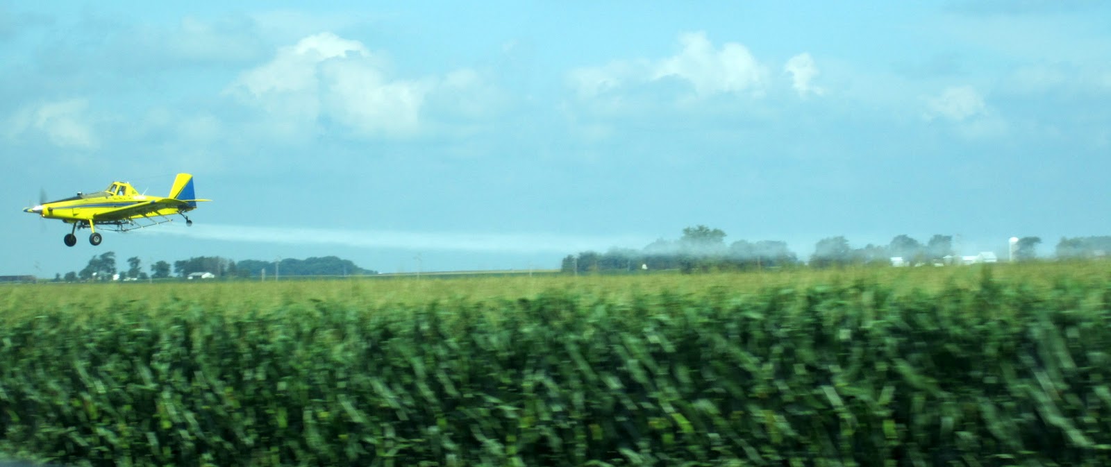 Hasty Pics Crop Dusting