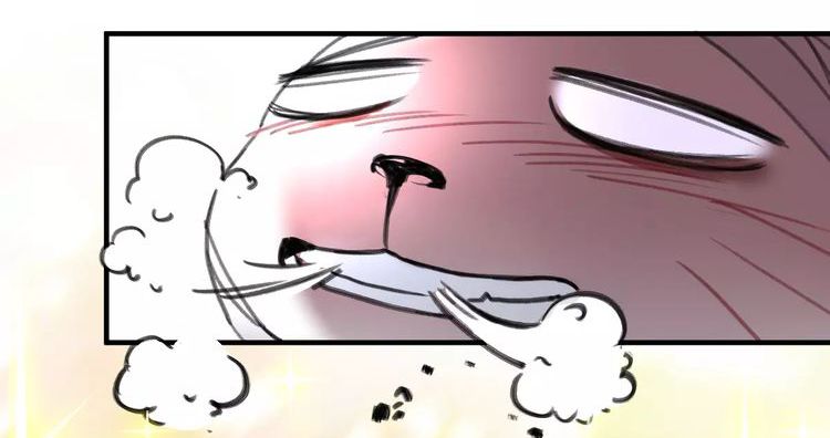 Đọc truyện Thế giới của một chú mèo - Chapter 3