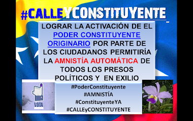 #PoderConstituyente = #AmnistíaAutomática