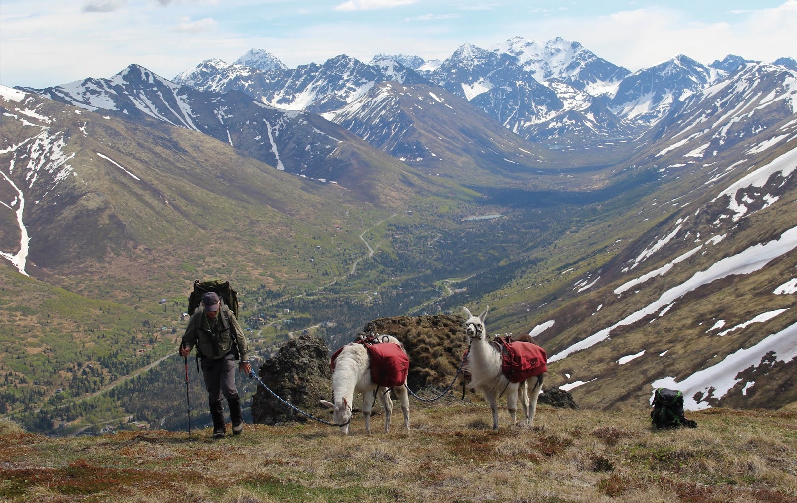 Awesome Arctic Valley (Spring Conditioning Hikes)