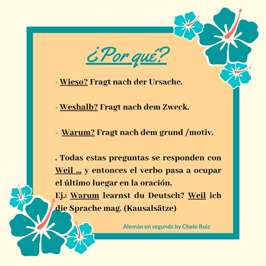 Alemán en segundos: Wieso?, Weshalb?, Warum? / ¿Por qué?