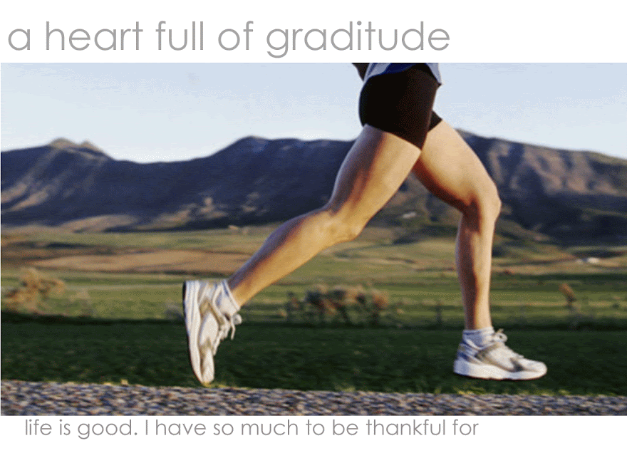 A Heart Full of Gratitude