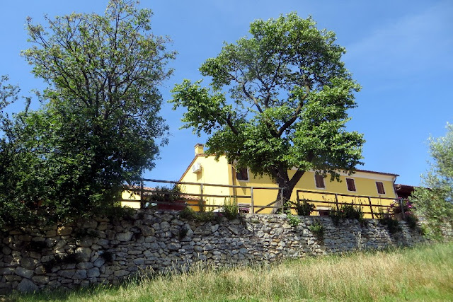 valle dei mulini mossano colli berici