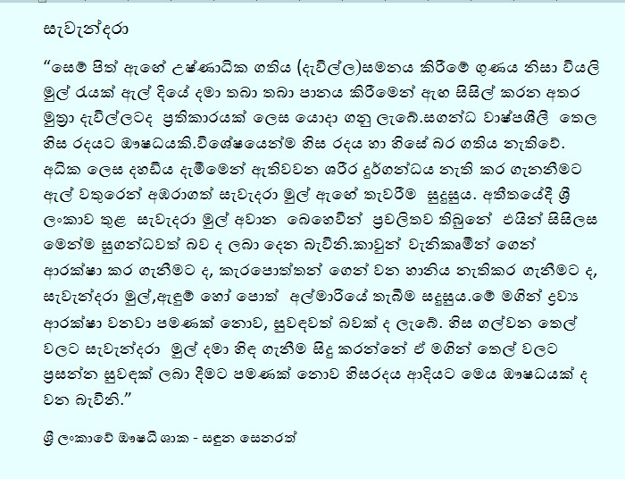 Herbal plants Sri Lanka Savandara/Vetiveria zizanioides