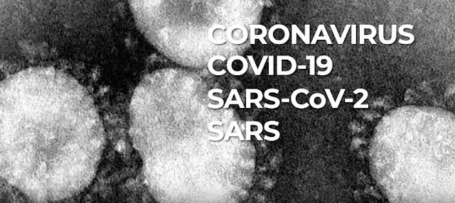 coronavirus update coronavirus update