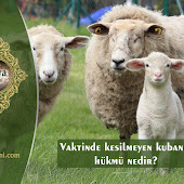 deve kac yasinda kurban edilebilir