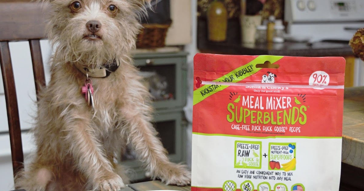 Mini Review Stella & Chewy's Meal Mixers SuperBlends The Chesnut Mutts