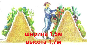 Пермакультура на 6 сотках - Журнал огородника Agrotehnika36.ru