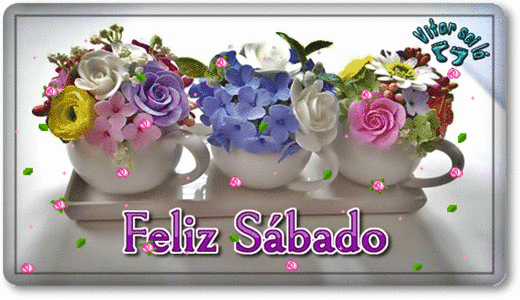 vitor%2B4.gif