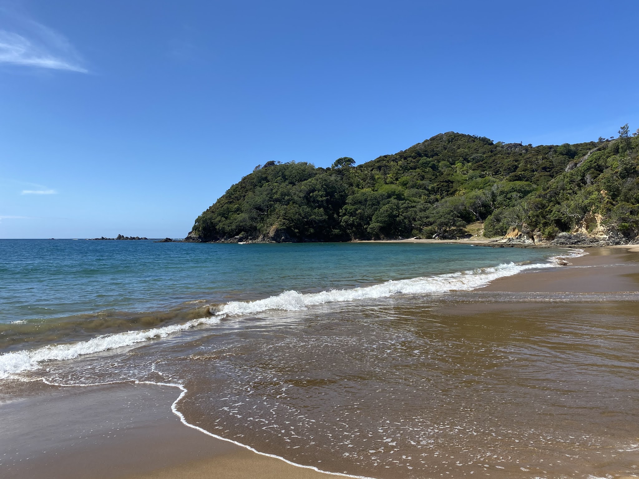 Alessandra Zecchini Little Bay, Coromandel, New Zealand