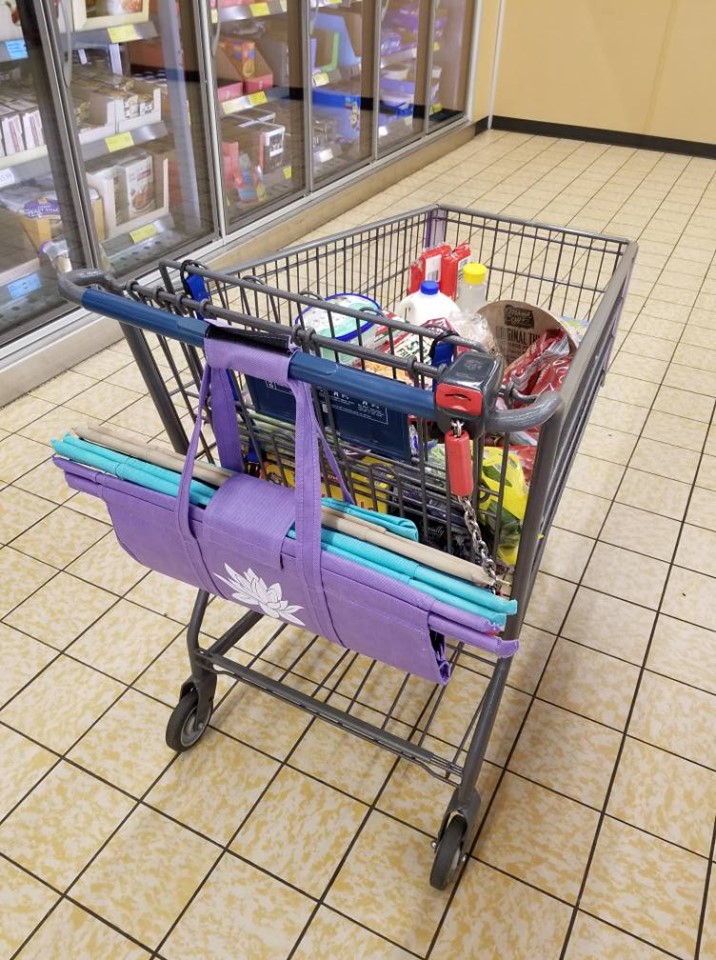 bags that fit in shopping cart