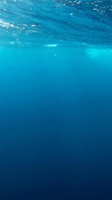 Underwater Blue Sea Video Wallpaper For Phone