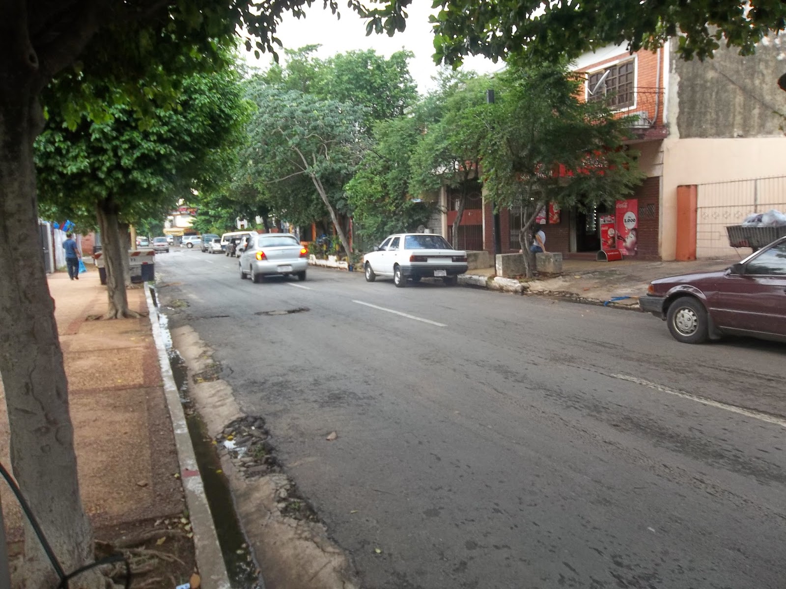 ¡ROHAYHU PARAGUAY!: Fernando de la Mora