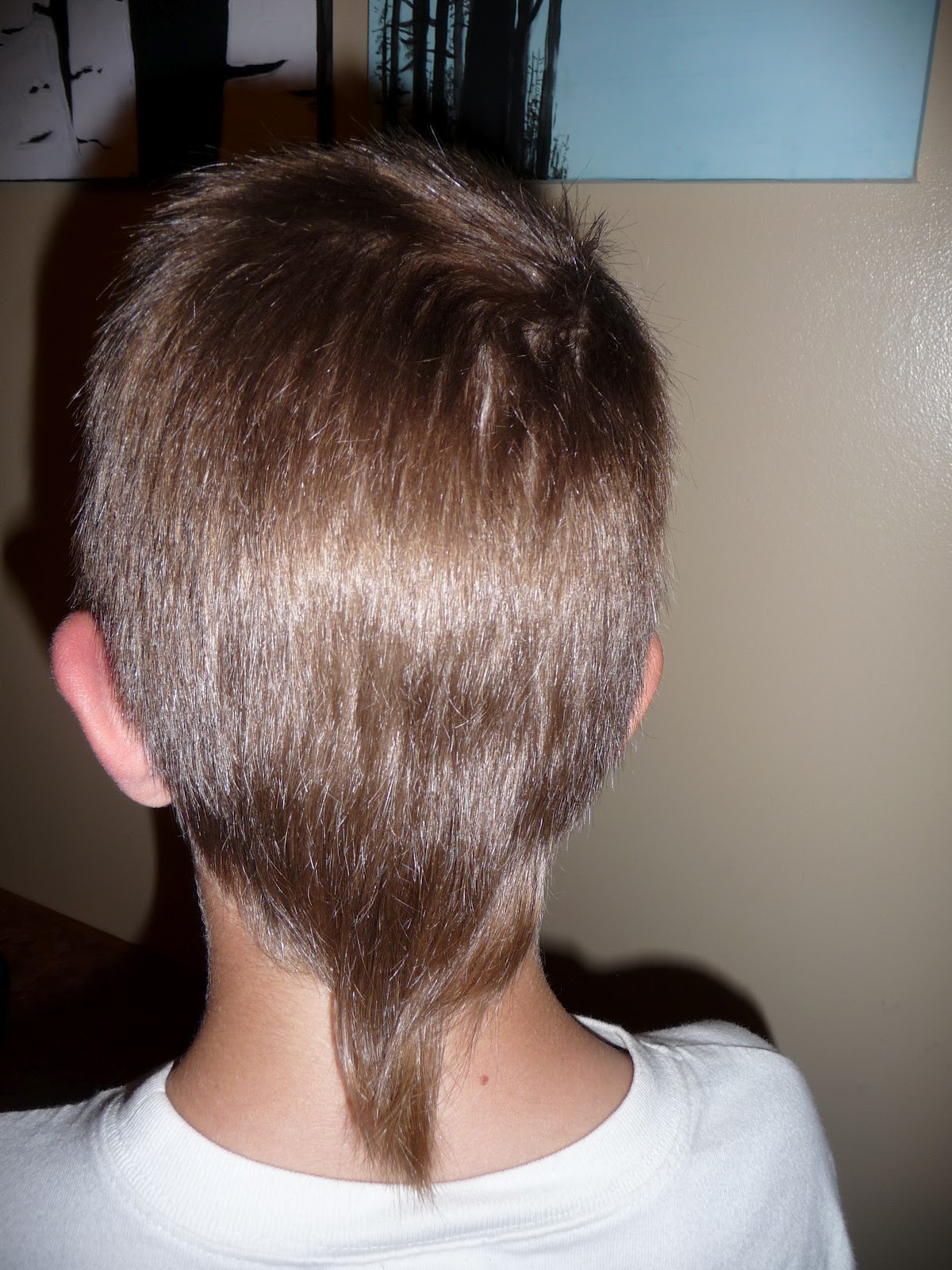 Long Rat Tail Haircut