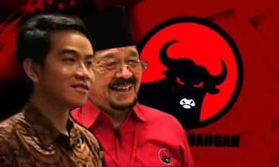 Pilkada Solo Memanas. Relawan GARUDA 'Serang' Kubu Gibran, Gara-Gara Hasil Survei