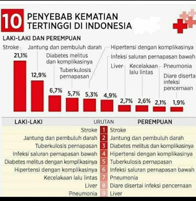 Penyebab Kematian 10 Tertinggi Di Indonesia