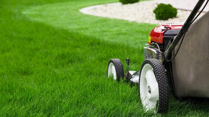 Start a Lawn Care Business 