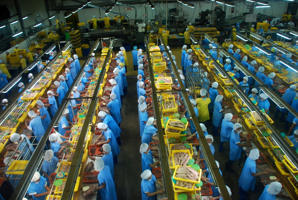 Machine Used Inside Indonesia Tuna Factory to Make Canned Tuna Indonesia Milkfish Factory, How