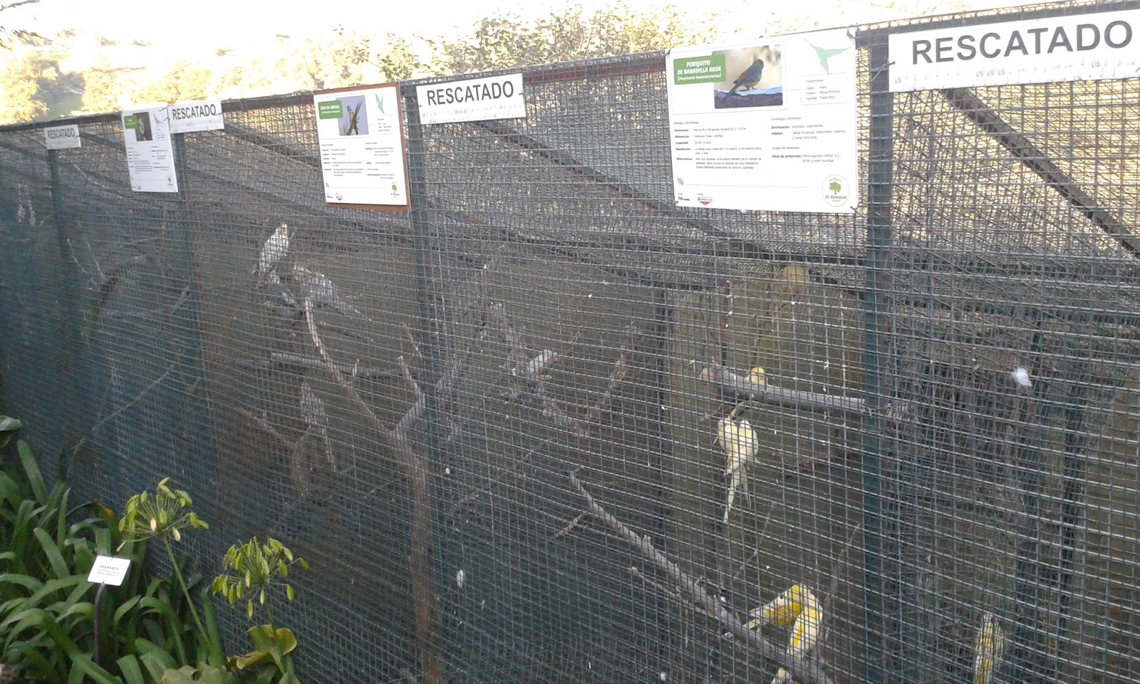 RUTAS EN ASTURIAS Zoo de Oviedo. Núcleo Zoológico el Bosque.