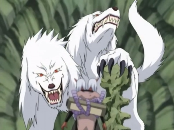 Naruto Character : Fakta Kiba Inuzuka dan Kumpulan Foto Kiba Inuzuka