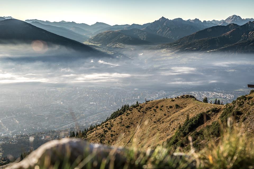 Sandra Wilderer Marketing April 2013