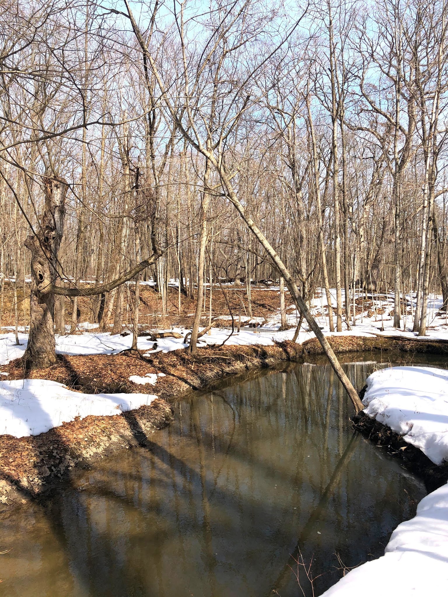 A Little Time and a Keyboard Tracing the Ravine at Beulah Park in Zion