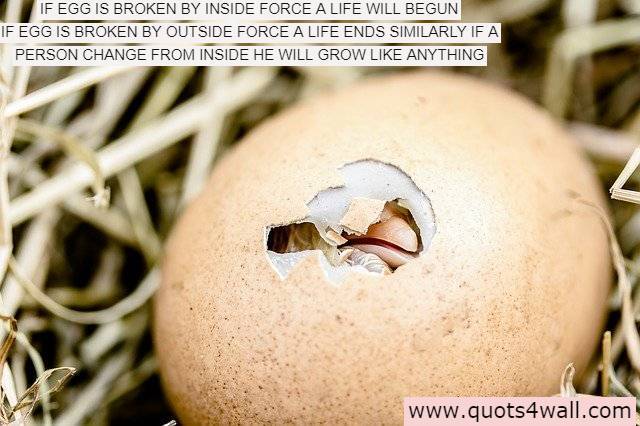 Quots4wall Best Motivational Quotes Manchimatalu In Telugu