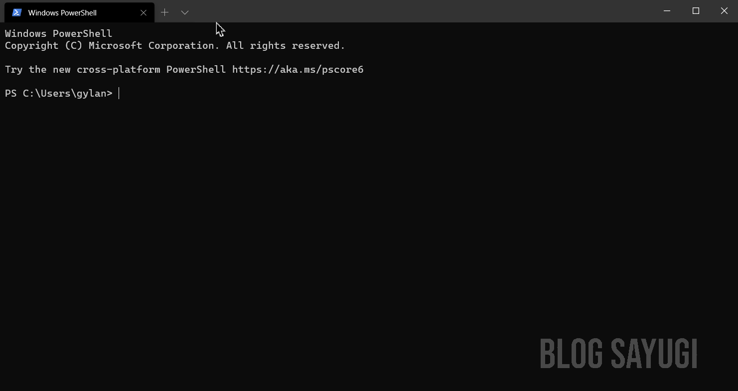 Cara Instalasi PowerShell 7 di Windows 10 - BLOG SAYUGI